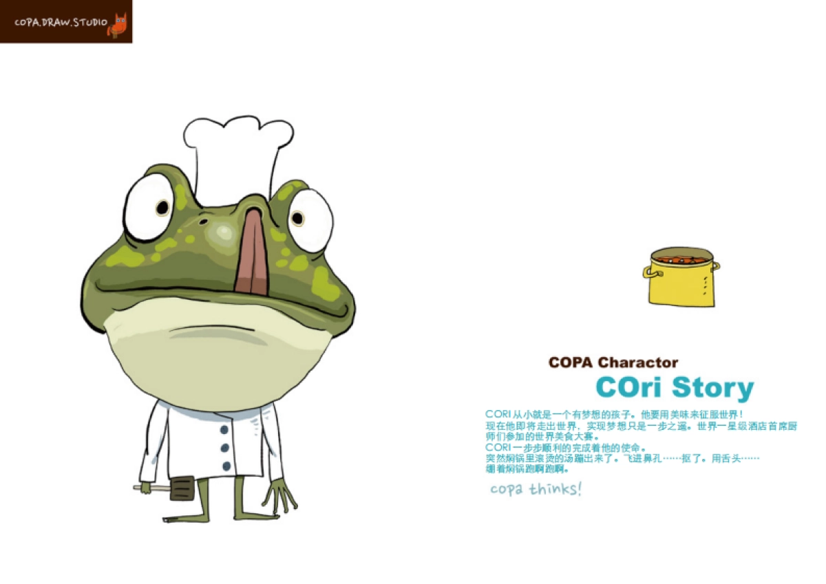 COPADRAW2016简介_第9页