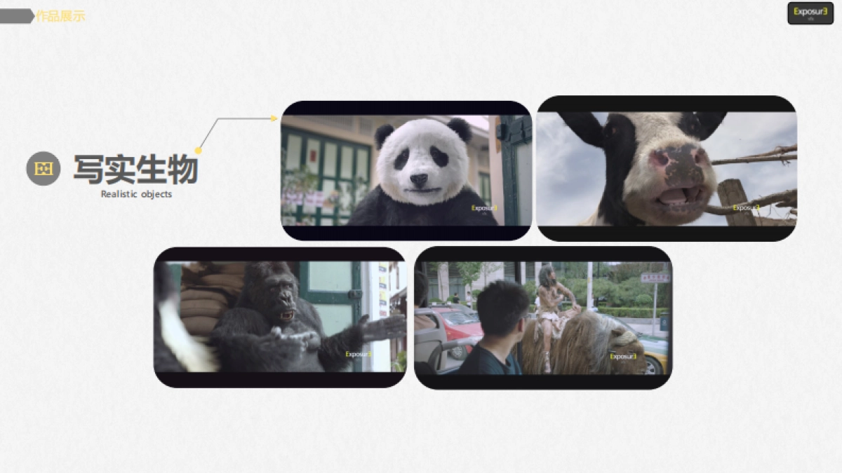 ExposureVFX公司简介_第8页