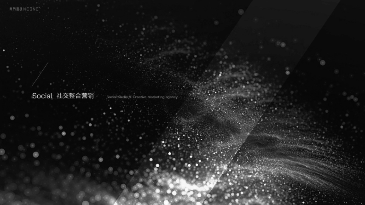 Neone有门公司介绍_第9页