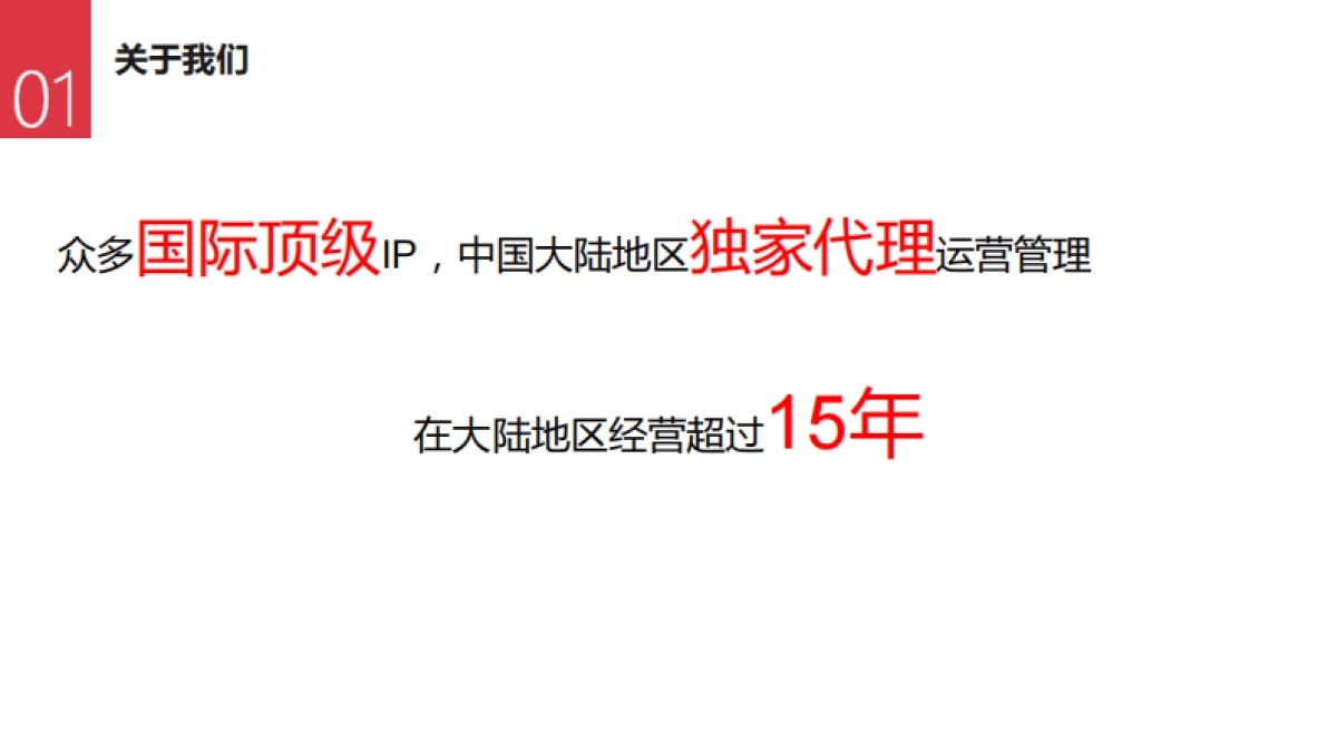 艾影&童曼公司简介_第5页