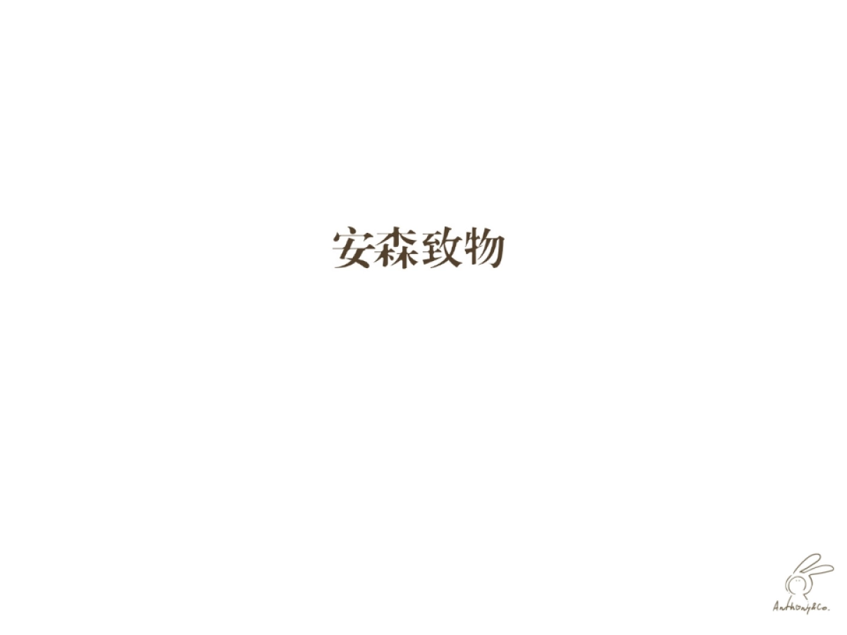 安森致物品牌简介goodin_第1页