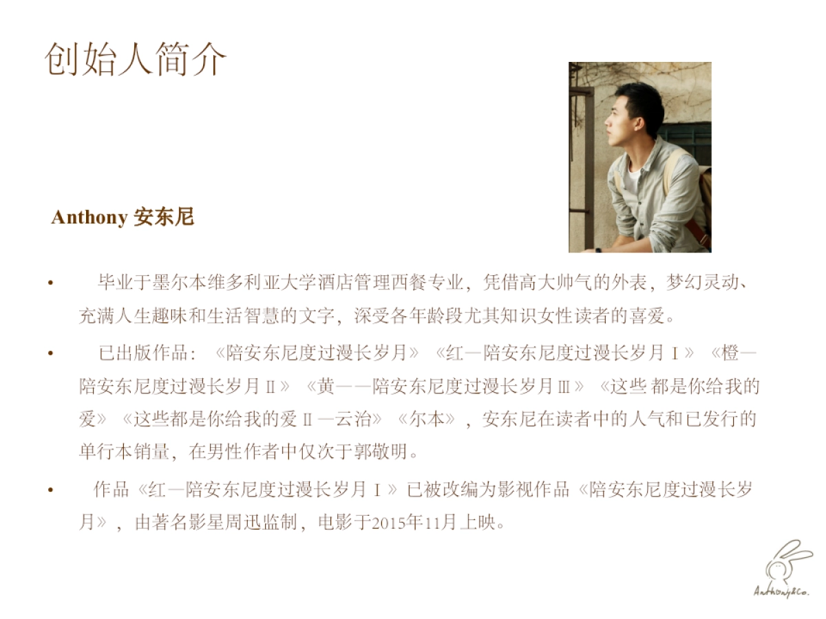 安森致物品牌简介goodin_第5页