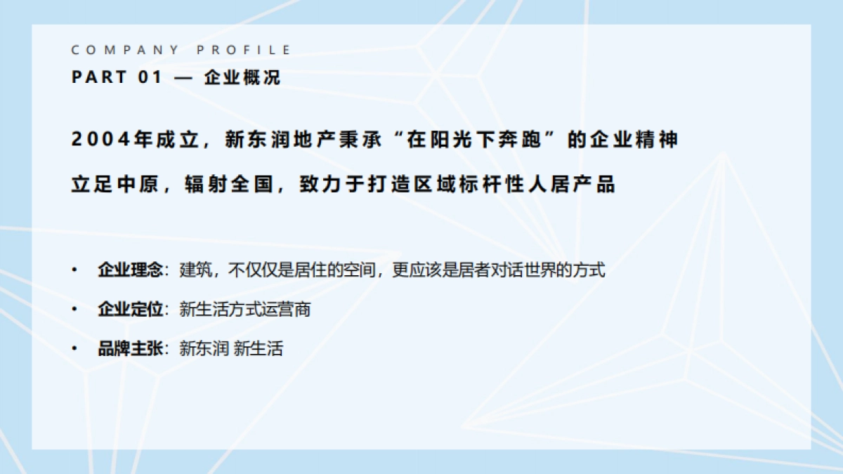 东润集团简介PPT_第3页