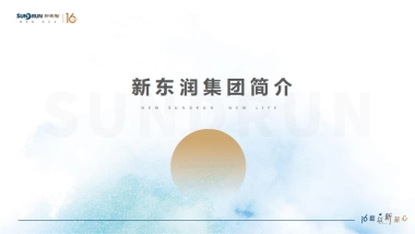 东润集团简介PPT
