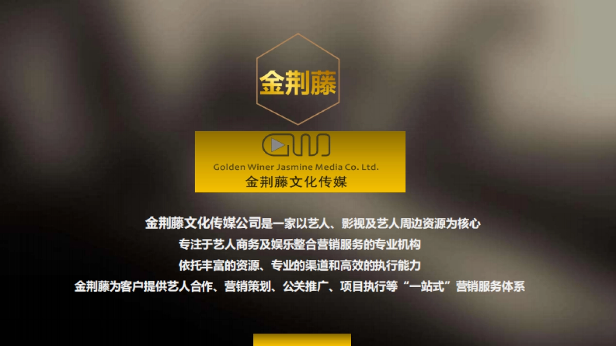 公司介绍-金荆藤传媒简介_第2页