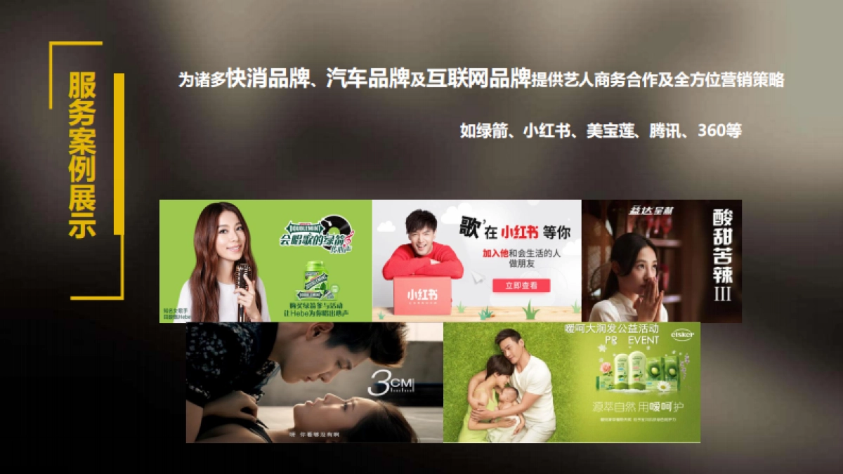 公司介绍-金荆藤传媒简介_第8页