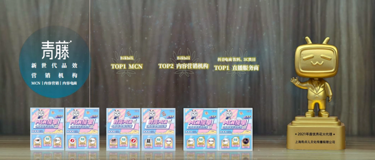 公司介绍丨知名MCN公司 青藤企业手册_第2页