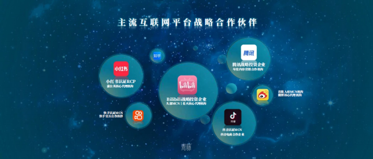 公司介绍丨知名MCN公司 青藤企业手册_第5页