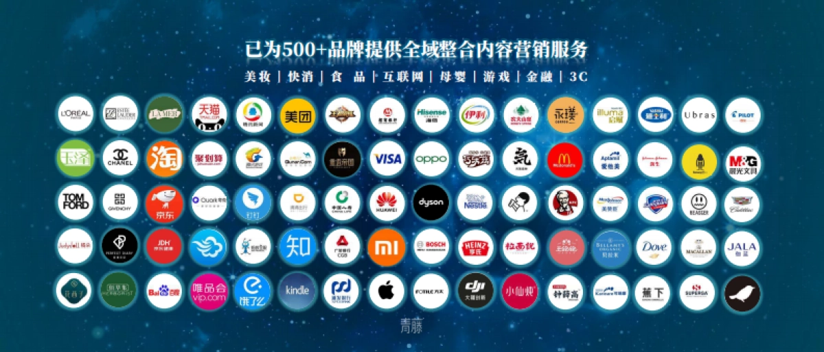 公司介绍丨知名MCN公司 青藤企业手册_第7页