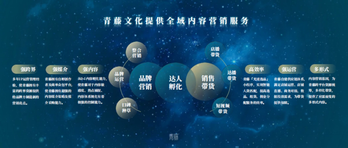 公司介绍丨知名MCN公司 青藤企业手册_第8页