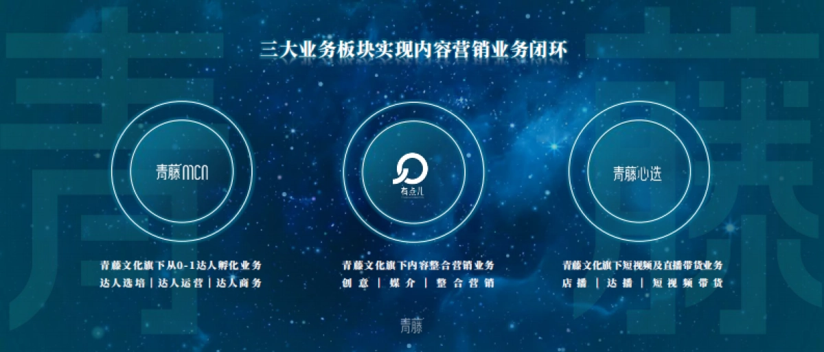 公司介绍丨知名MCN公司 青藤企业手册_第9页