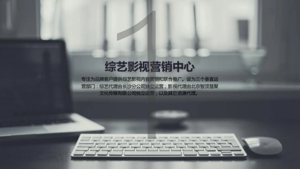 公司介绍-智顶互动_第8页