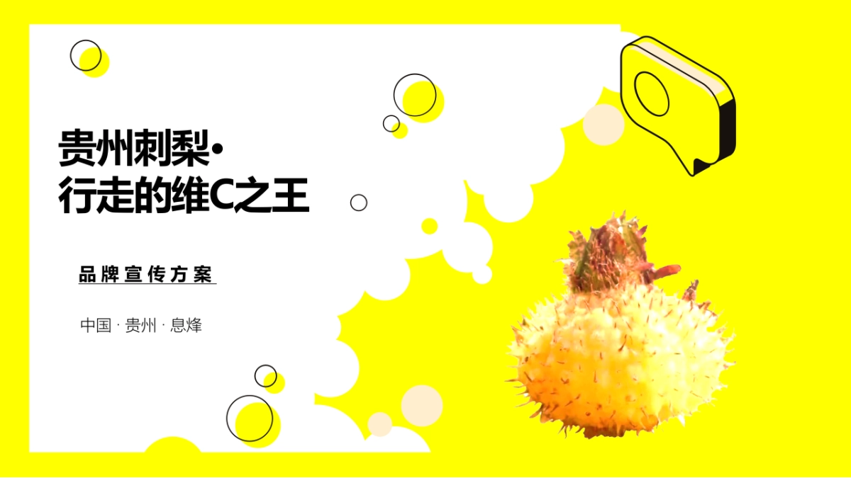 贵州刺梨王简介_第1页