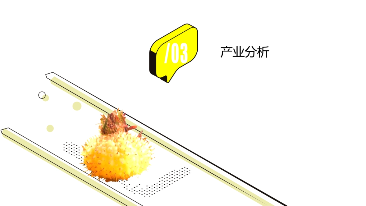 贵州刺梨王简介_第7页
