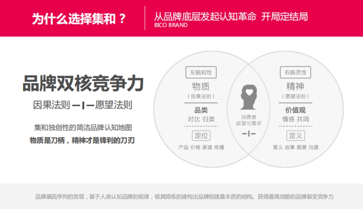 集和战略品牌咨询-简介_第9页