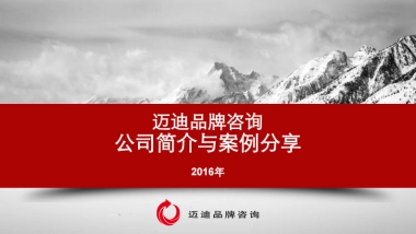 迈迪品牌咨询-公司介绍