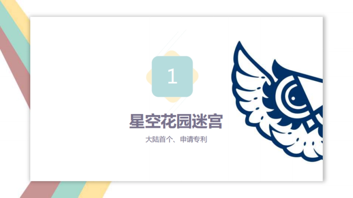 猫头鹰活动资源 公司介绍_第8页