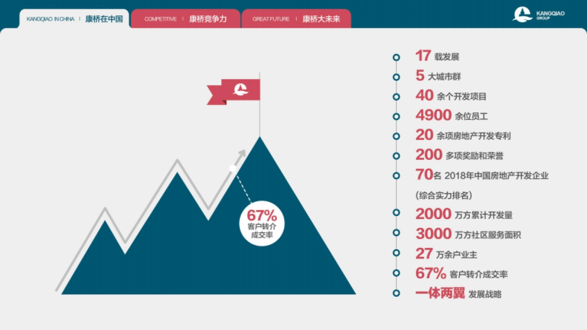 桥集团简介中文版_第6页