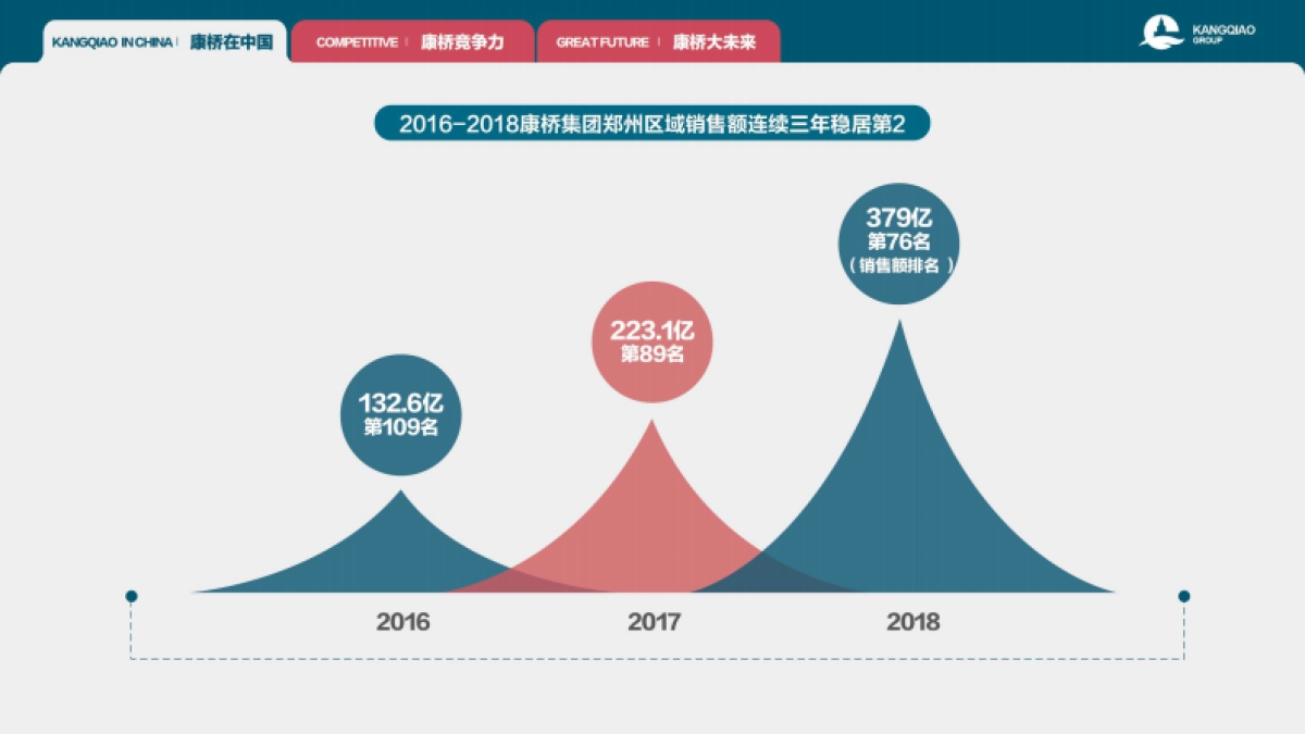 桥集团简介中文版_第7页