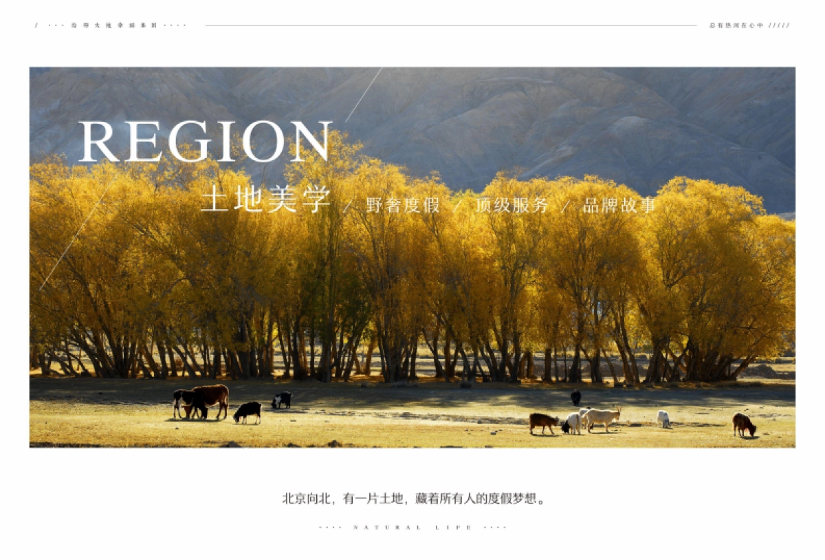 热河饮马川简介_第10页