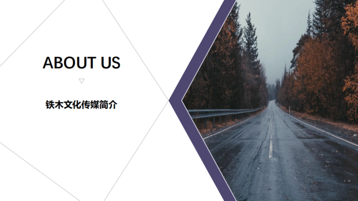 山东铁木文化传媒有限公司_第2页