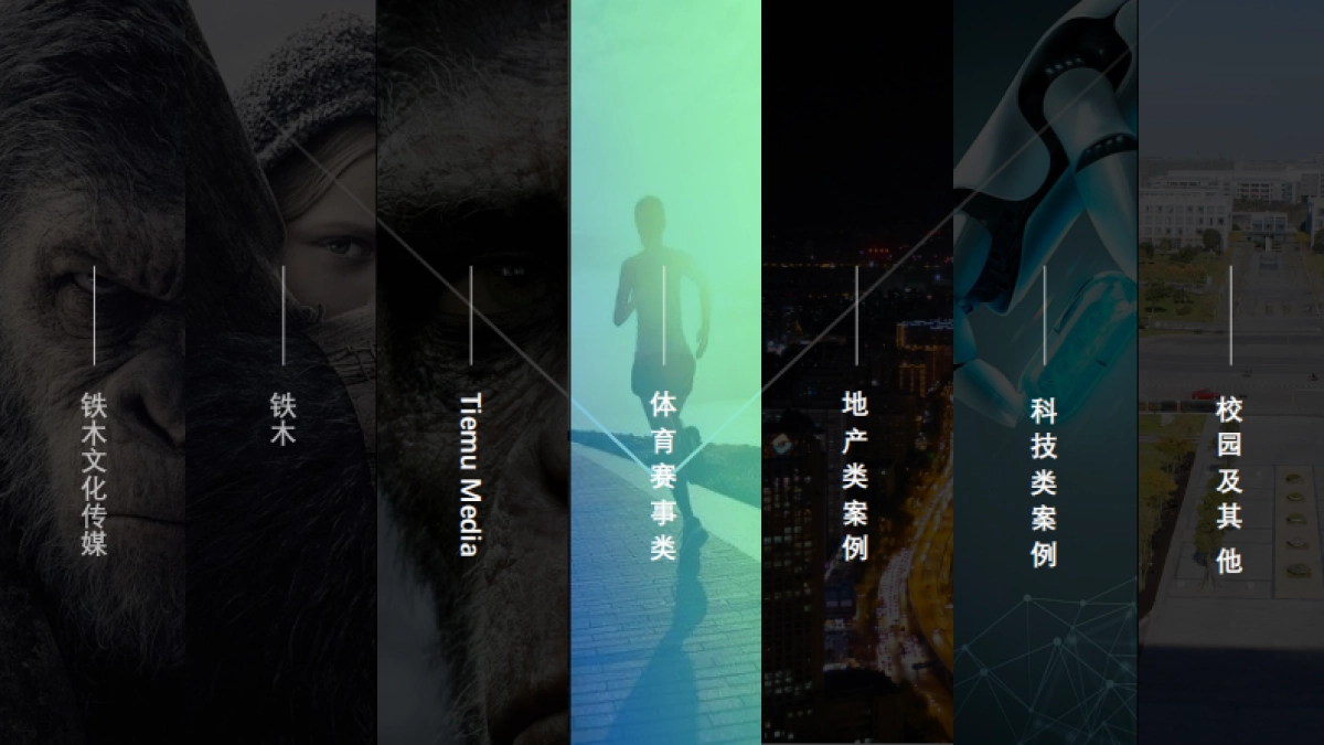 山东铁木文化传媒有限公司_第7页