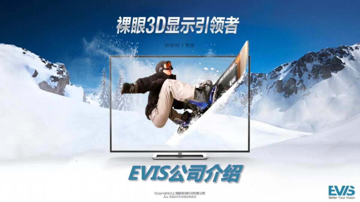 上海EVIS公司介绍_第1页
