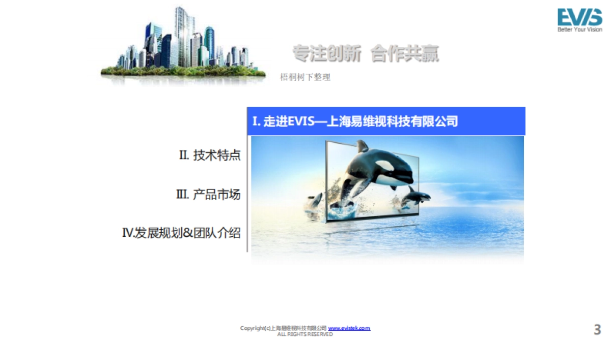 上海EVIS公司介绍_第3页