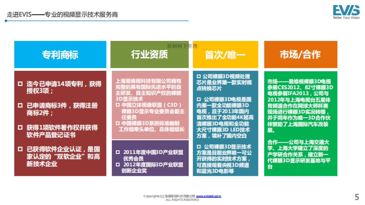 上海EVIS公司介绍_第5页