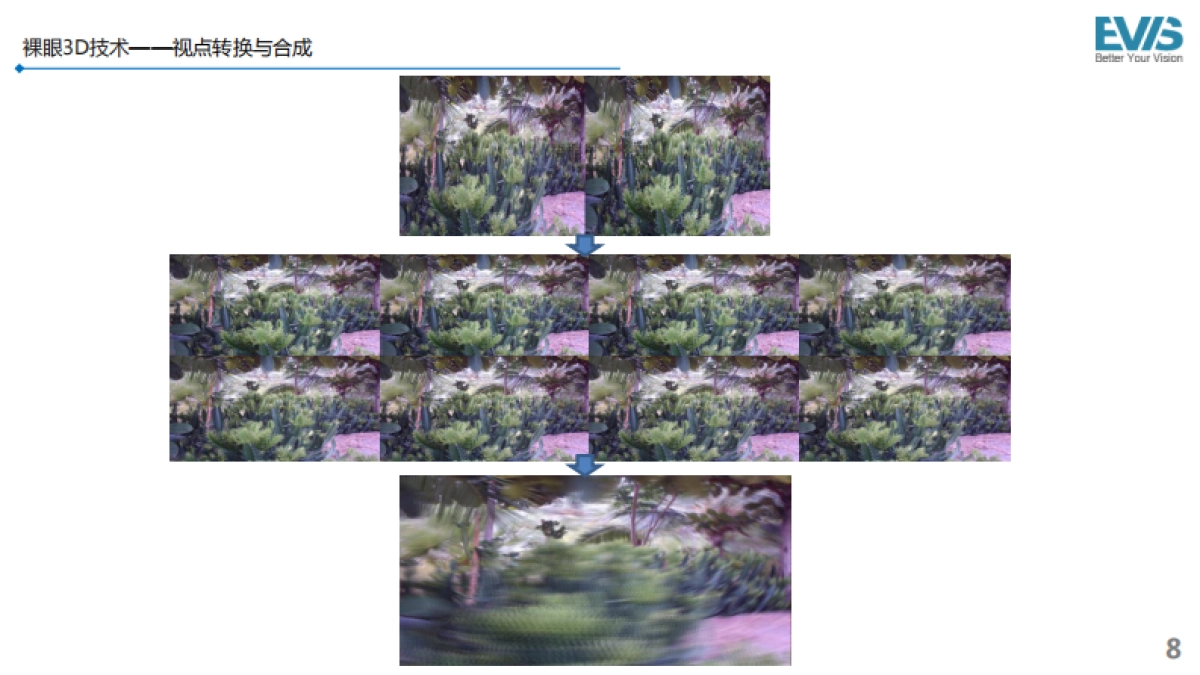 上海EVIS公司介绍_第8页