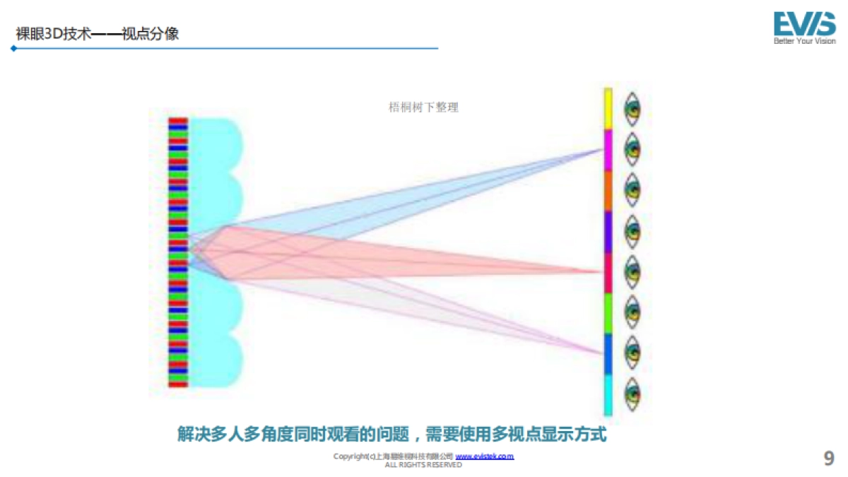 上海EVIS公司介绍_第9页