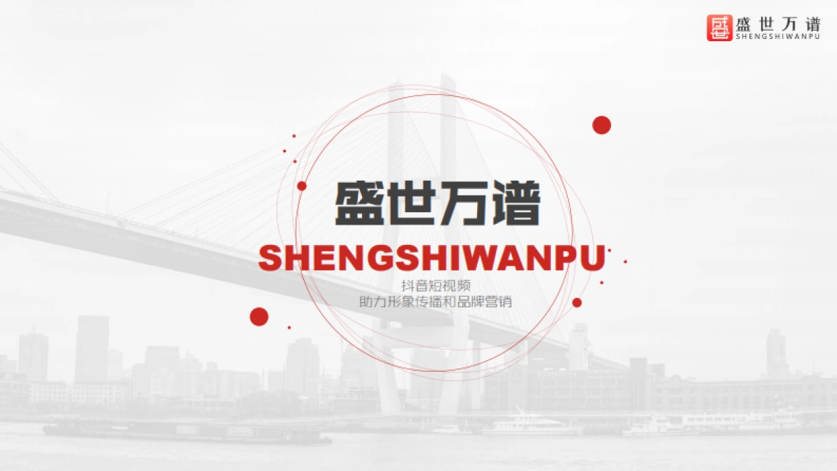 盛世公司简介_第1页