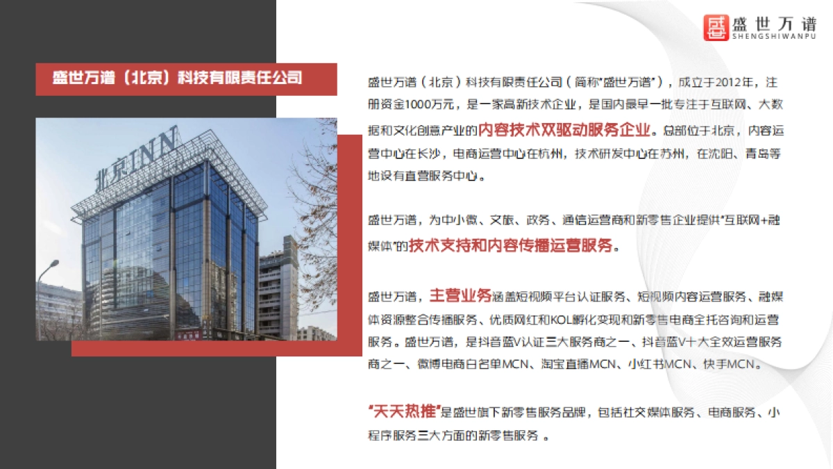 盛世公司简介_第10页