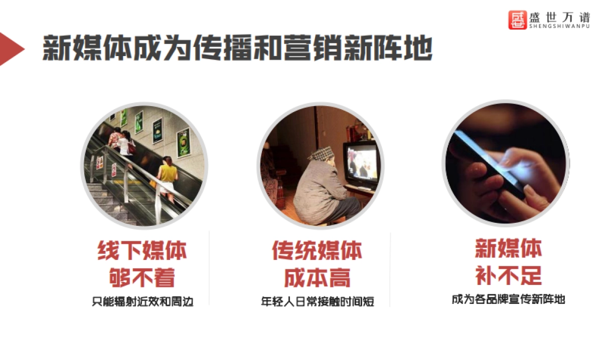 盛世公司简介_第3页