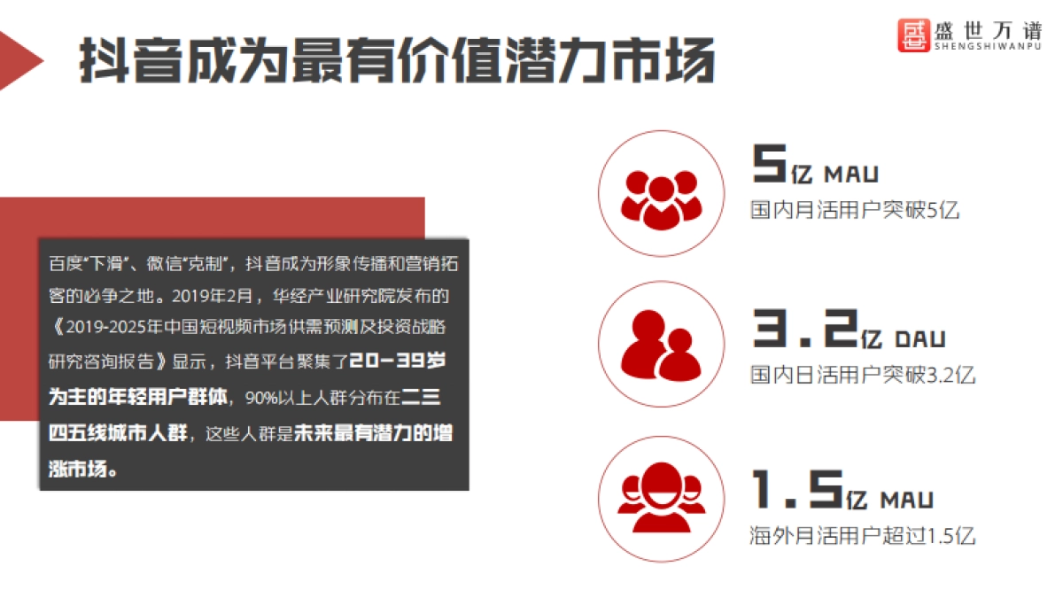 盛世公司简介_第4页
