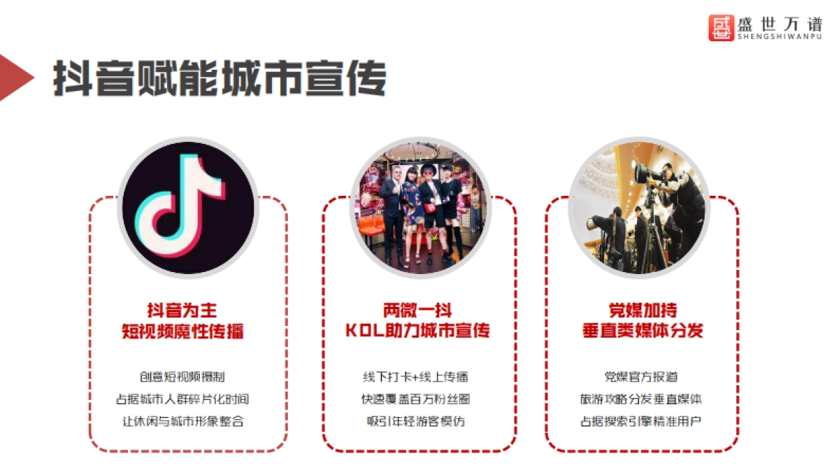 盛世公司简介_第5页