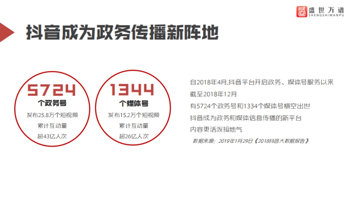 盛世公司简介_第6页