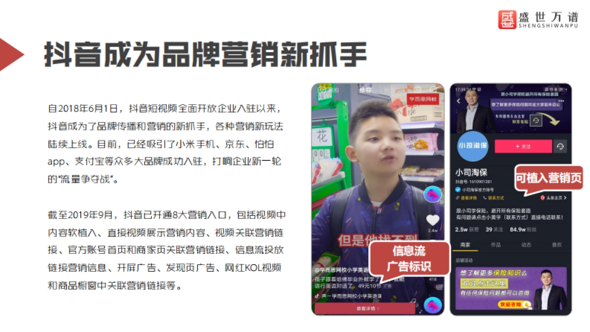 盛世公司简介_第7页