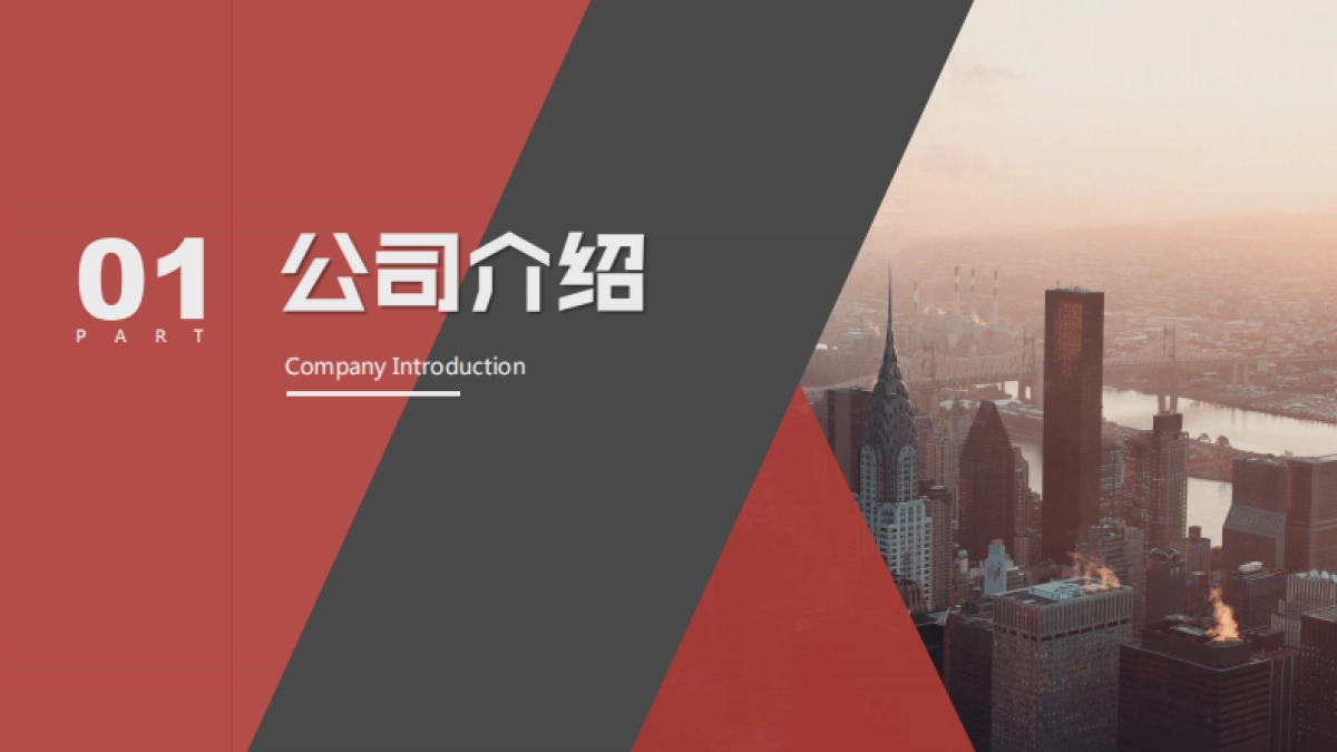 盛世公司简介_第9页