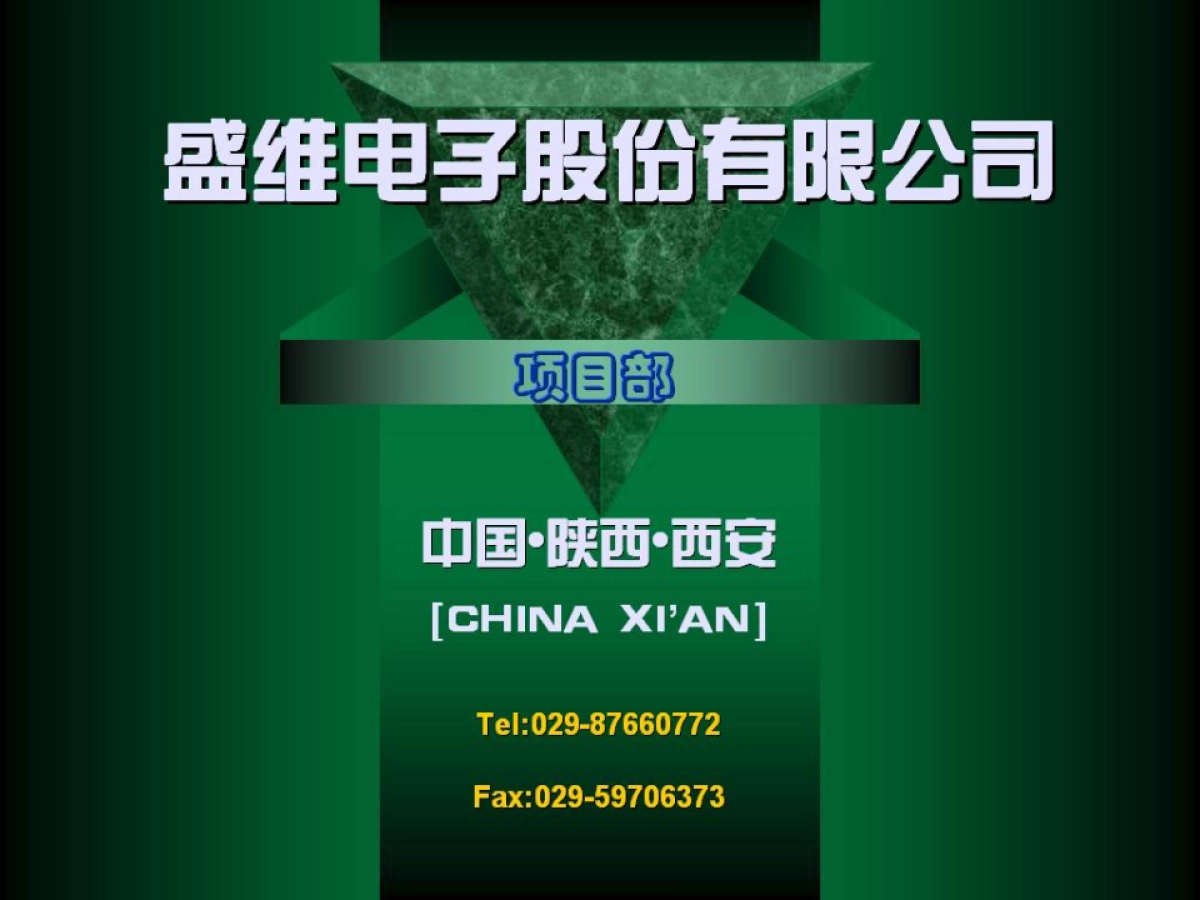 盛维电子股份有限公司_第1页