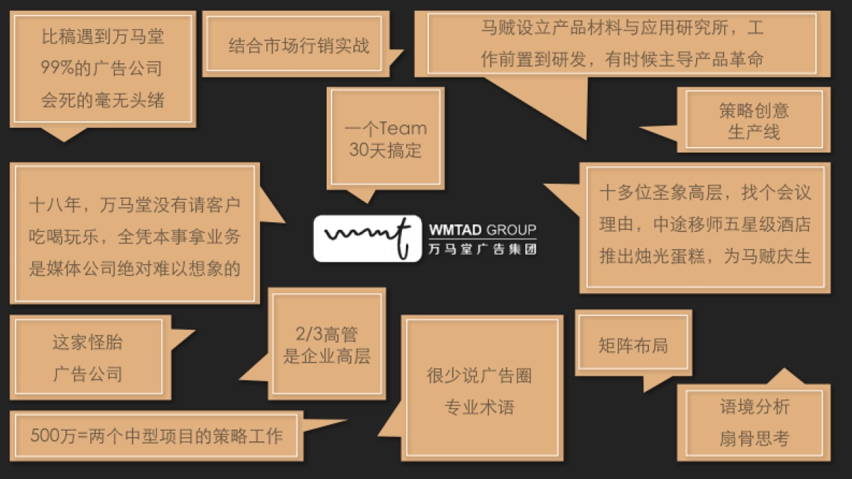 万马堂公司简介_第3页