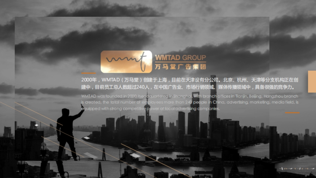 万马堂公司简介_第4页