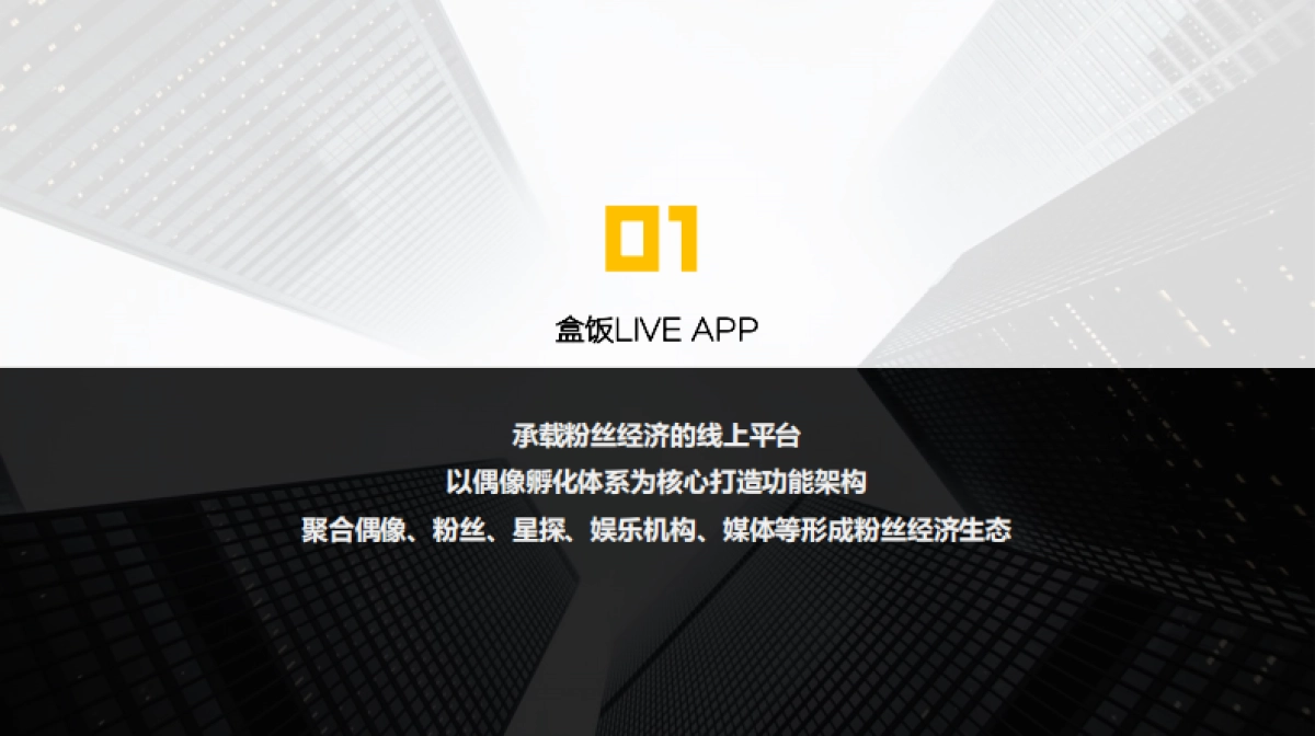 星影聚合公司介绍_第3页