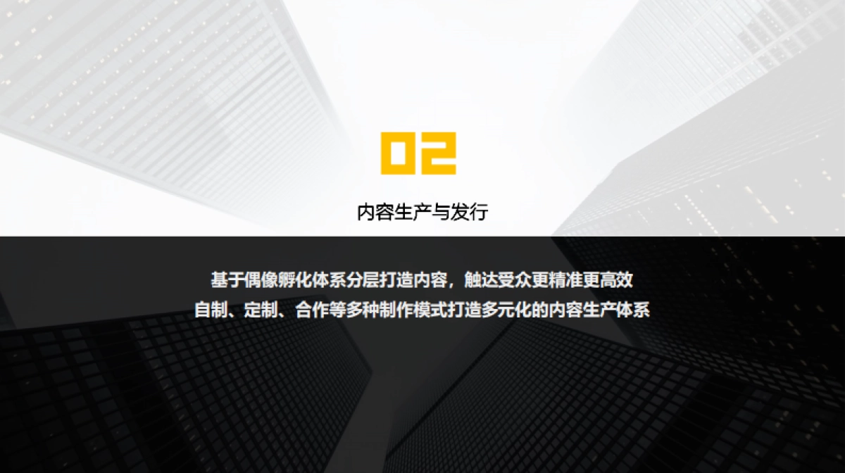 星影聚合公司介绍_第5页