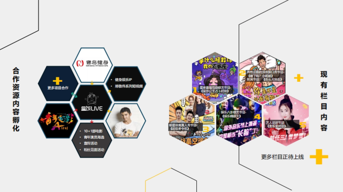 星影聚合公司介绍_第6页