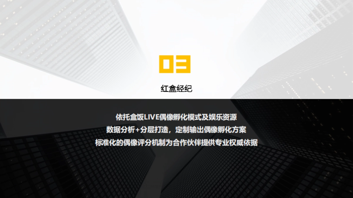 星影聚合公司介绍_第8页