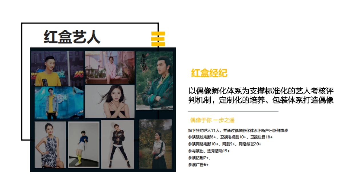 星影聚合公司介绍_第9页