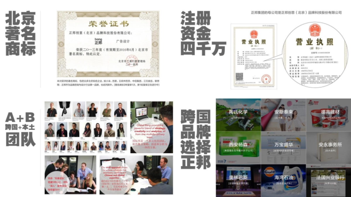 正邦-公司简介_第6页