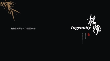 【VIS】宋时明月照大院视觉设计(56P)