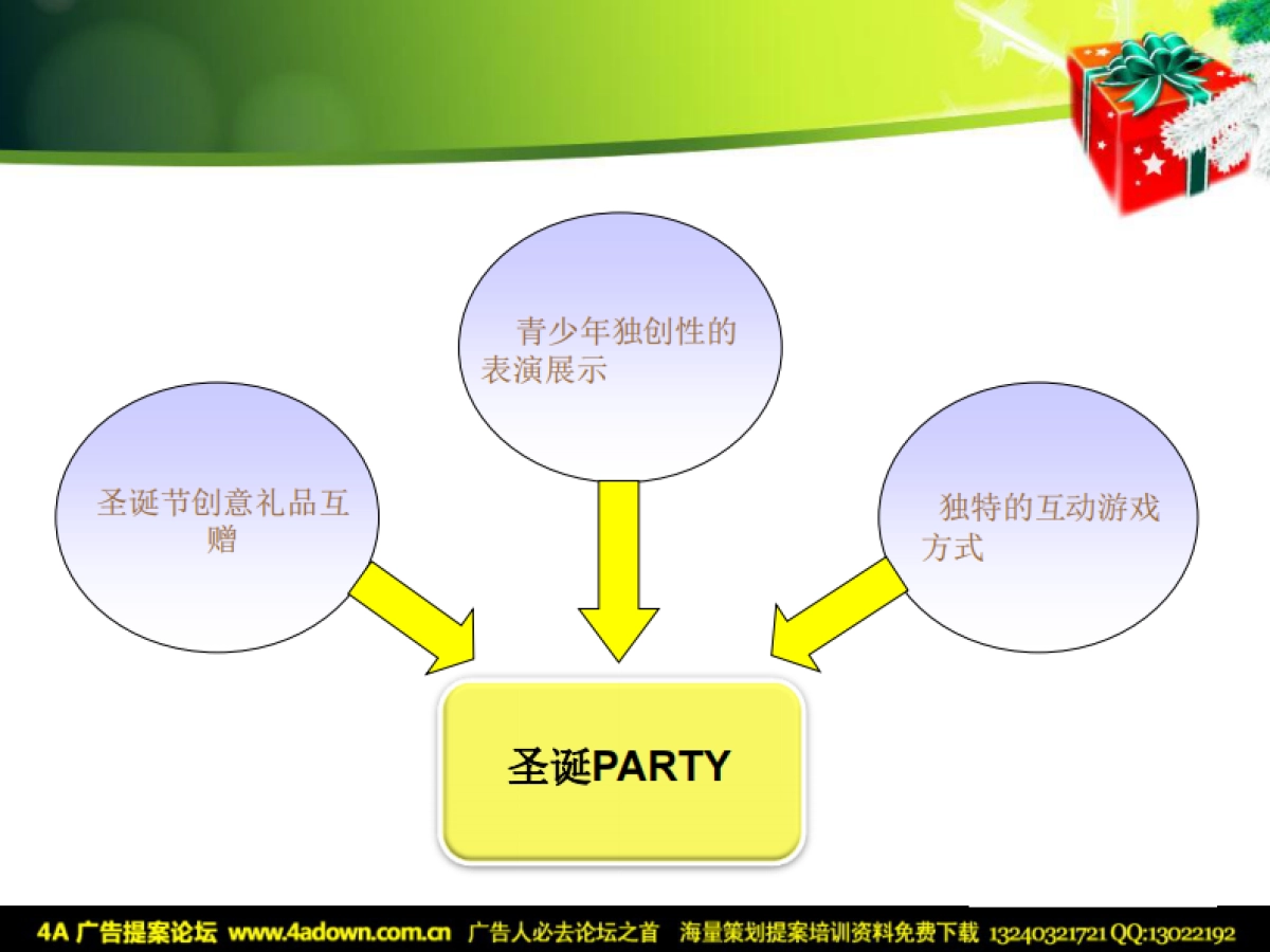 2010棕榈滩别墅圣诞活动包装建议-22p_第8页